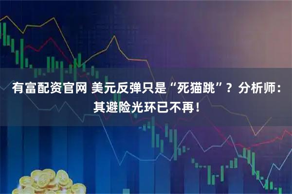 有富配资官网 美元反弹只是“死猫跳”？分析师：其避险光环已不再！