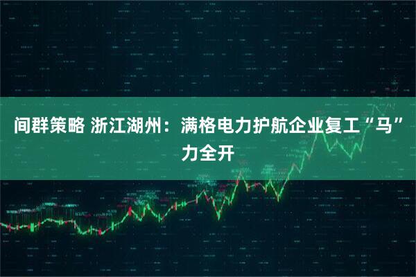 间群策略 浙江湖州：满格电力护航企业复工“马”力全开
